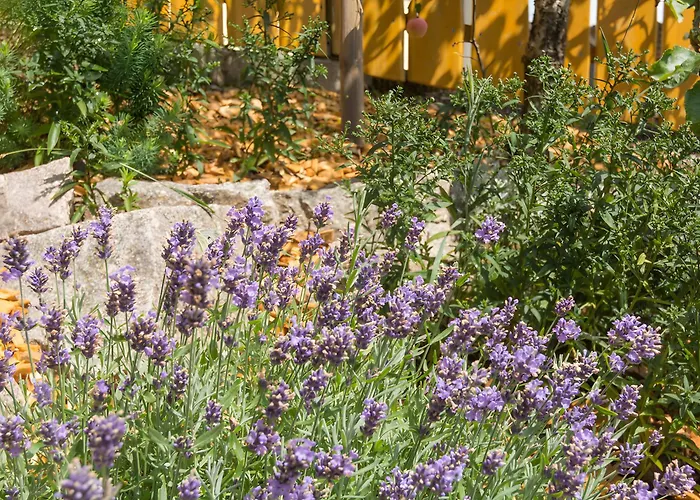 Apfelbaeumchen 別荘